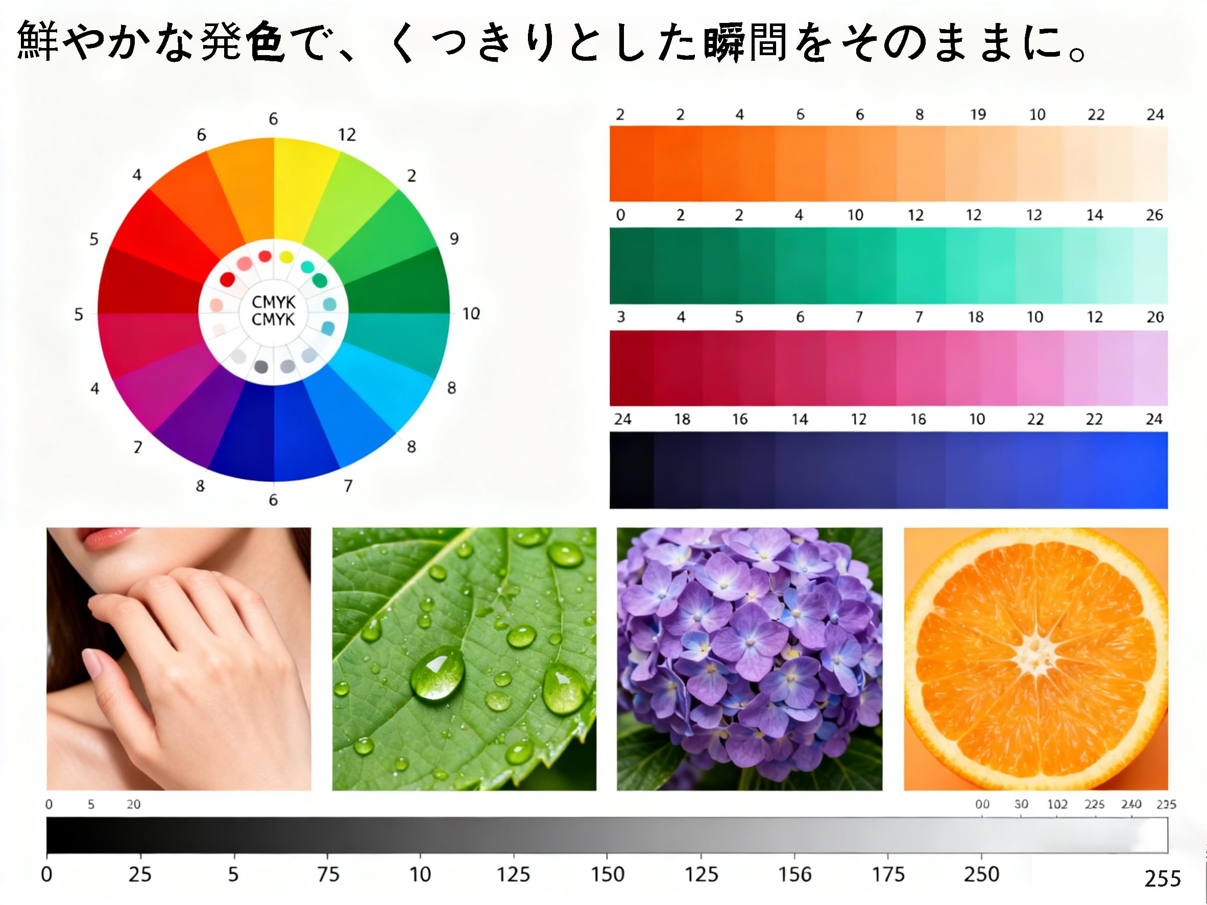 Amazon.co.jp: IM C6010 トナー マゼンタM（標準容量・チップ付・単品